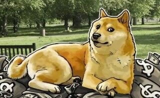 狗币DOGE交易所app安卓最新 【狗狗币v5.3.3】安卓交易所手机app