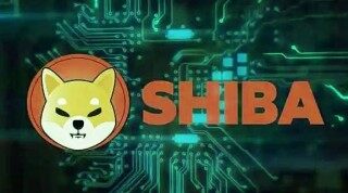 【屎币】shib哪里下载 屎币交易所下载软件最新