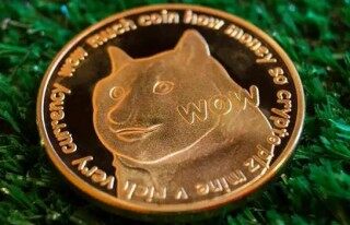 狗狗币软件官方版下载 狗狗币手机端安卓app最新