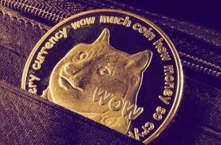 狗狗币交易所下载 狗狗币app最新版下载链接