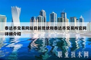泰达币交易网站目前现状和泰达币交易所官网详细介绍