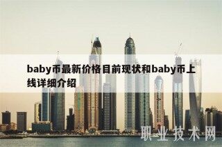 baby币最新价格目前现状和baby币上线详细介绍
