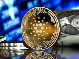 tp钱包导出私钥(钱包导出私钥）