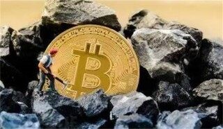 XCP币最高的价格是多少