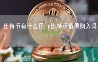 比特币有什么用(比特币值得购入吗)