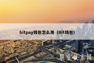 bitpay钱包怎么用(Bit钱包)