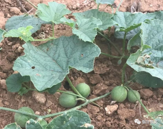 什么地笑填空词语(什么地笑填空词语三个字)