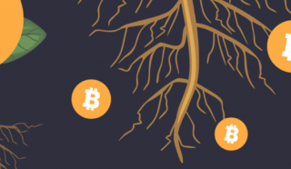 比特币生态铭文热度未必能持续