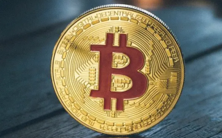 BTC生态进入多元化阶段,哪些生态值得关注?