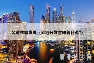 公链生态发展(公链开发意味着什么?