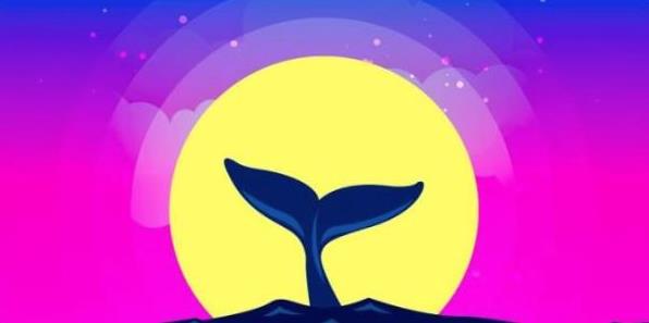 币圈2023十大交易所盘点(最新交易所汇总详解)