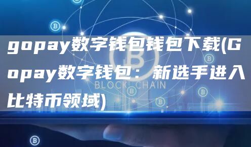 gopay数字钱包钱包下载 - Gopay数字钱包:新选手进入比特币领域