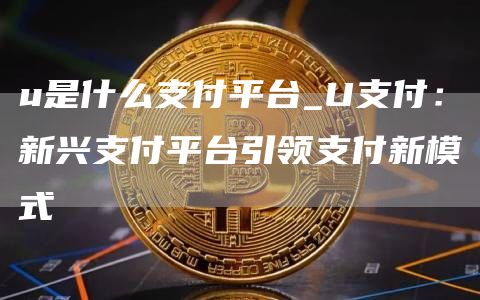 u是什么支付平台_U支付:新兴支付平台引领支付新模式