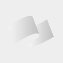 Animoca Brands 支持 AllScale 通过人工智能代理集成推进非托管稳定币支付基础设施